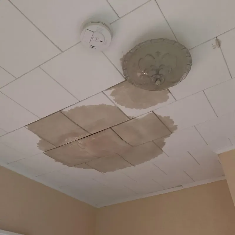 Ceiling Water Damage Repair in Lake Norman of Catawba, NC