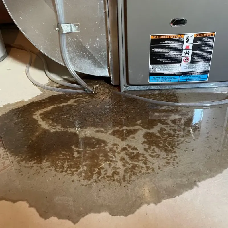 Pipe Burst and Leak Restoration in Lake Norman of Catawba, NC